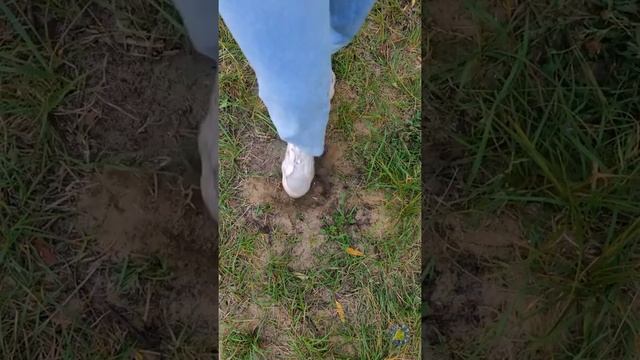 РУКОВОДСТВО ПО ВЫЖИВАНИЮ В ДИКОЙ ПРИРОДЕ || УДИВИТЕЛЬНЫЕ ПОДЕЛКИ И ЛАЙФХАКИ ДЛЯ КЕМПИНГА смотреть онлайн