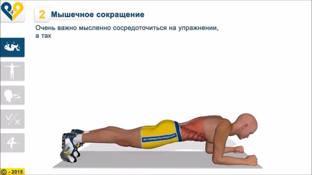 Планка Правильное выполнение смотреть онлайн