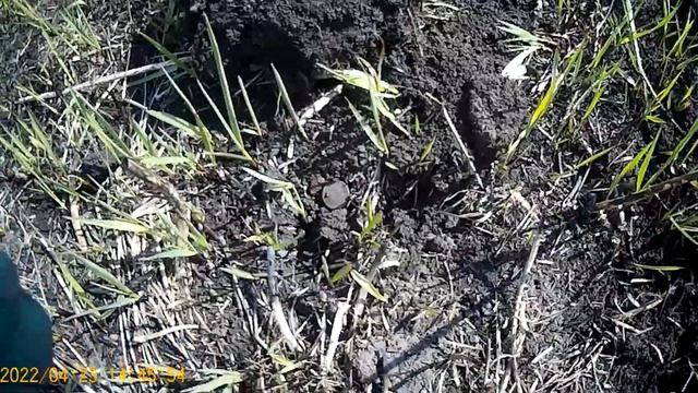 Коп монет .Старина.Исчезнувшая деревня смотреть онлайн