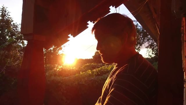 Травовед. Надо быть свободным, а не рабом. Рассказывает Моряков Сергей Викторович смотреть онлайн