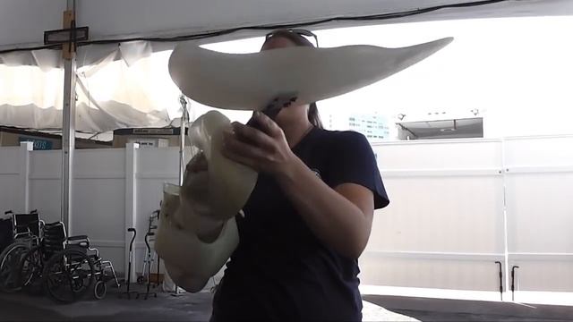 See Winter the dolphin from "Dolphin Tale" at Clearwater Marine Aquarium смотреть онлайн