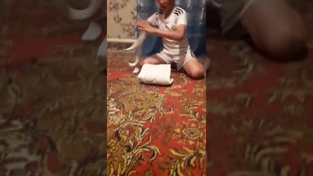 Дзюдо кемано байлап үйрену смотреть онлайн