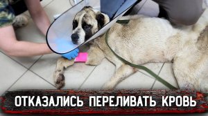 Нукеру отказались переливать кровь, хотя ему нужно экстренно, говорят приходить утром,  4 часть