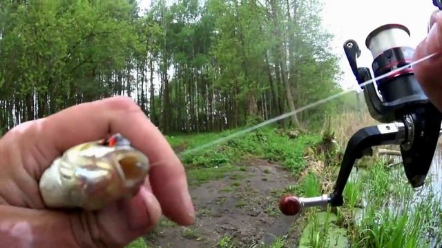 Прогноз рыбака на Октябрь Ноябрь 2021. Когда клюёт? На что клюёт. Какая рыба клюет осенью.