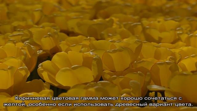 Желтая гостиная: красивые сочетания с другими цветами в интерьере смотреть онлайн