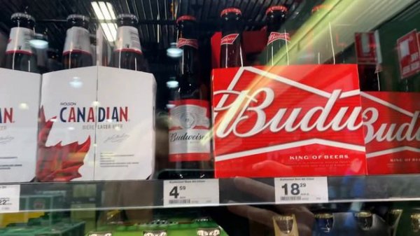 Минусы Жизни в Австралии