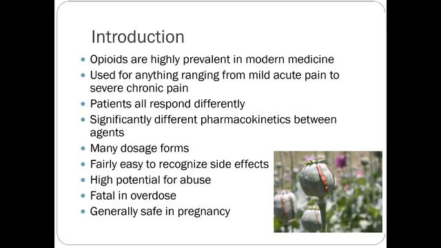 Pain medications смотреть онлайн