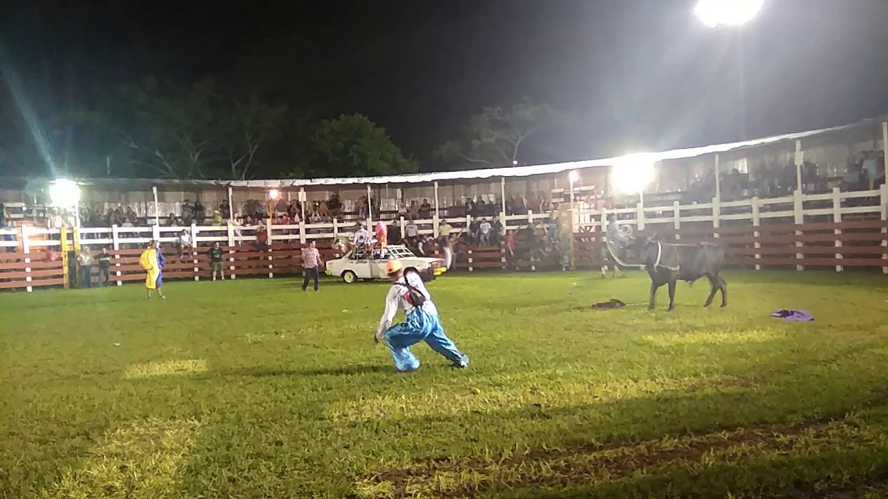 КОРРИ́ДА 1 Коста Рика #костарика #жизньвкостарике #родывкостарике