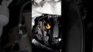 шум двигателя дастер 2.0 при запуске на холодную при температуре ниже +5. кто подскажет причину