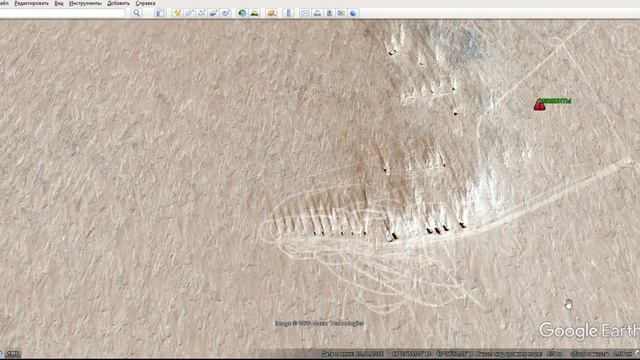 Антарктида. Нашёл гигантских удивительных животных. смотреть онлайн