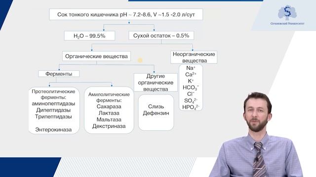 Физиология пищеварения. Сократительная и моторная функция. Часть 2 смотреть онлайн