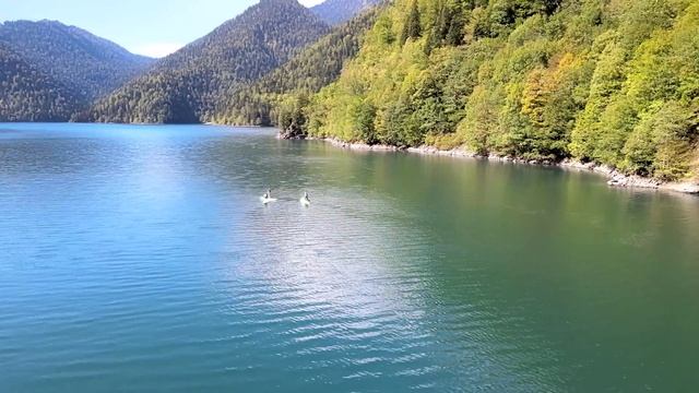 Красивая расслабляющая музыка • Спокойная фортепианная музыка ? Yспокаивающая музыка для нервов смотреть онлайн