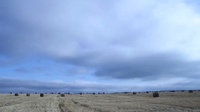 Free nature background video no copyright / Бесплатное видео природы без авторских прав - 4 смотреть онлайн