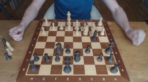 Боевой дебют на борьбу! Шахматы дебюты. Учимся играть конем!