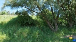DDE WP 250 Насос  (мотопомпа) ДЛЯ ДАЧИ