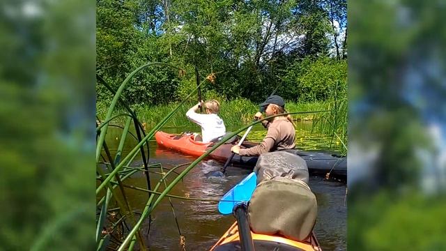 Сплав на каяках по реке Великой 24-25 июня 2023 смотреть онлайн