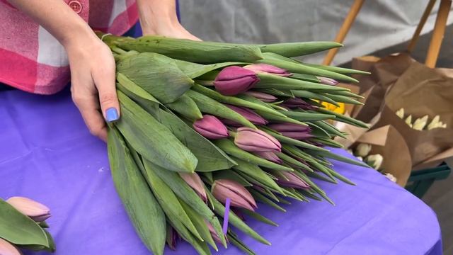 Обзор сортов фиолетовых тюльпанов смотреть онлайн