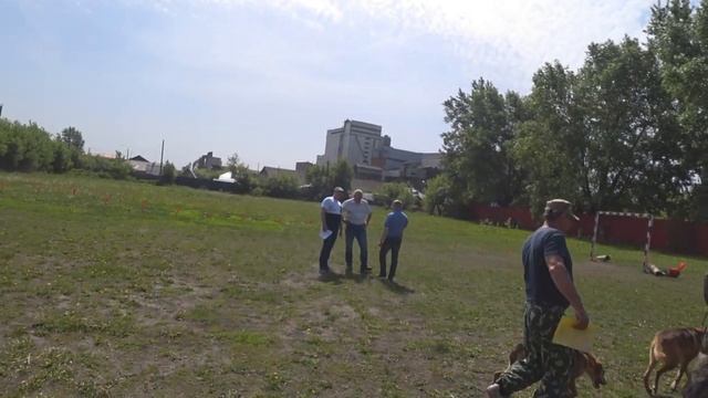 Выставка охотничьих собак.г Кузнецк 22.05.21 смотреть онлайн