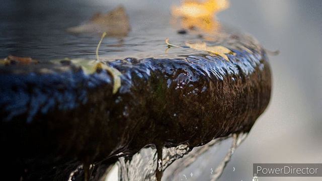 ~ Oscar Benton-Bensonhurst Blues 1973... ~