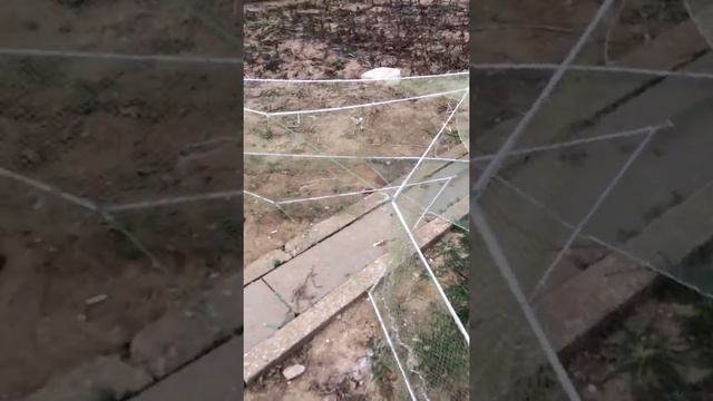 снасть на креветку смотреть онлайн