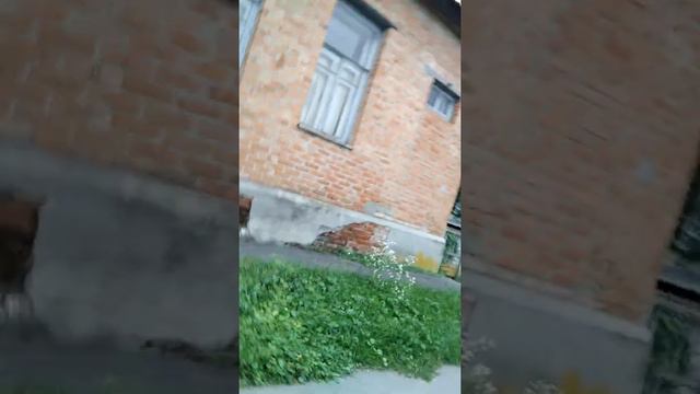 Витя Митя сам себе оператор\возле церкви ч.5 смотреть онлайн