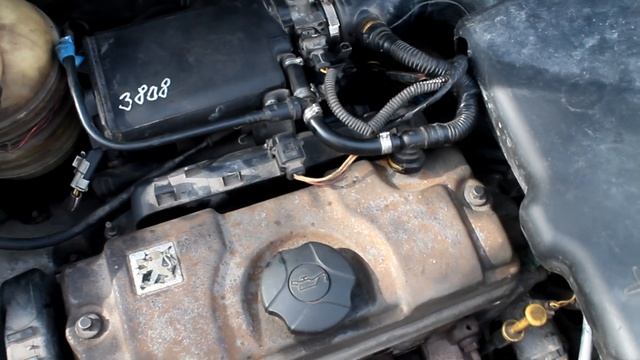 Peugeot 206 глохнет на холостых, заводится и глохнет.