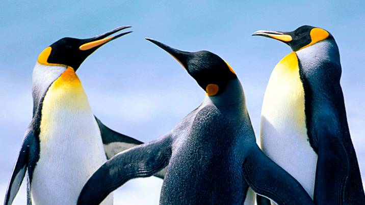 C5m2-7-V6-Разбор ДЗ - Geek Brains