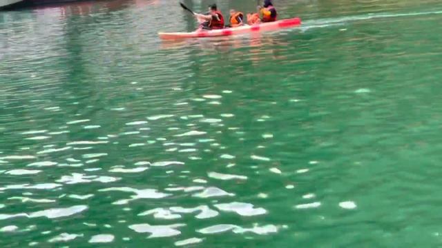 Bermain Kayak Di Tasik Kenyir yang sangat Indah Dan #fyp #kenyir #terengganu #keindahanalam смотреть онлайн