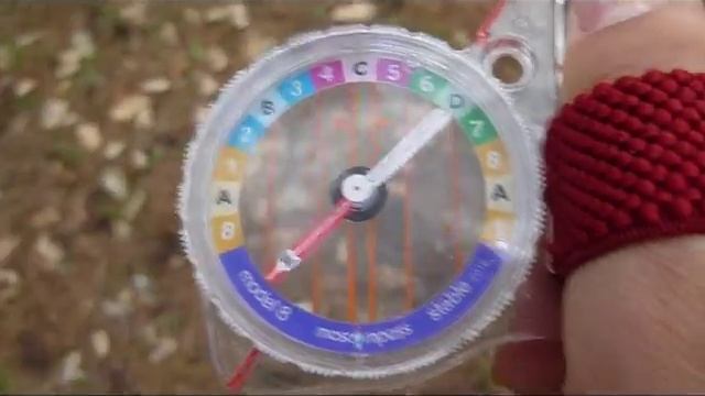 Официальная тренировка. Сосновка. смотреть онлайн