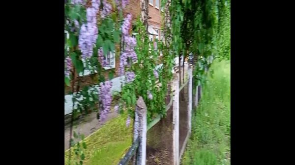 КАК СНИМАЕТ REALME C65 - 1080P 30FPS (CAMERA TEST)