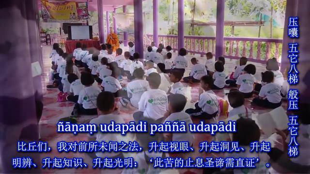 Dhammacakka Sutta Mandarin Translate 转法轮经 （中文翻译）