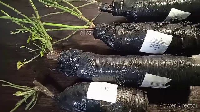 Посылка с розами от Агромаркет 24. смотреть онлайн