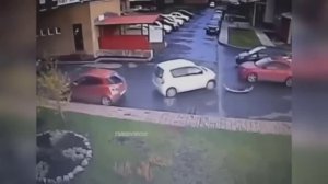 дураки и дороги