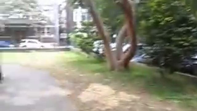Μια περιήγηση του σωληνοειδούς χτυπήματα εκκλησία - μέσα και έξω смотреть онлайн