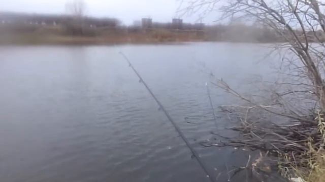 Ловим на китайскую сетку с кормушкой, запруда Самарское шоссе 18 октября 2020 год Усть-Каменогорск смотреть онлайн