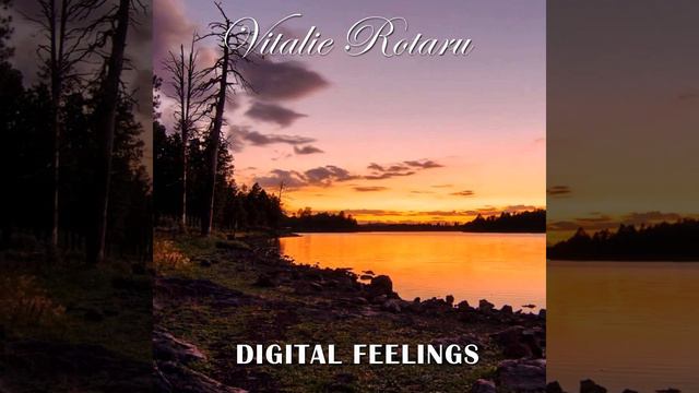 Vitalie Rotaru – Digital Feelings