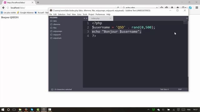 Tutoriel PHP : Afficher du texte avec echo смотреть онлайн