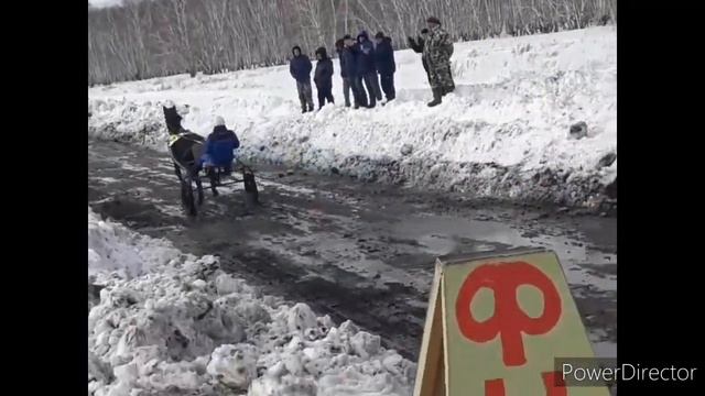 #наши_кони, #припас, #скачки Масленица . Сибирь . 29 Февраля 2020 . Скачки кони - двух летки . смотреть онлайн