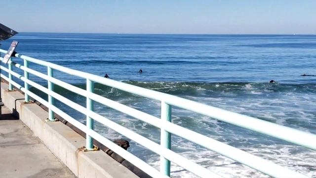 Manhattan Beach California Walking Tour - 4K смотреть онлайн