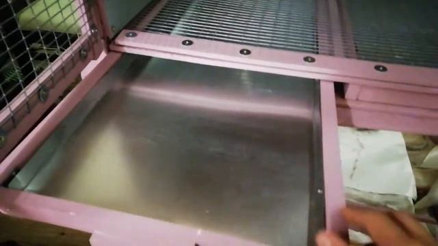 Клетка для кроликов породы французский баран часть 2 смотреть онлайн