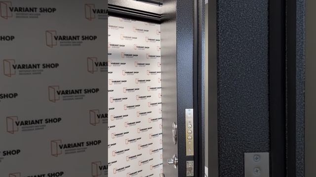 Обзор входной металлической входной двери: Металл/Металл смотреть онлайн