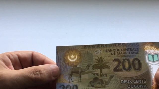 #7Распаковка полимерные банкноты