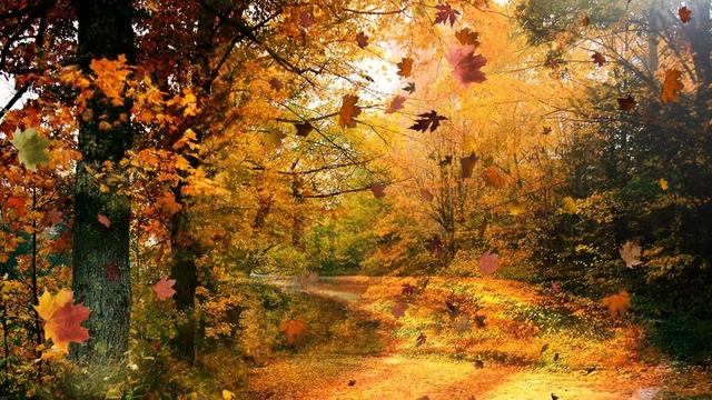 Осень золотая... смотреть онлайн