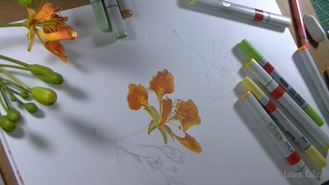Desenho e Pintura | Passo a Passo | Flores _#60 смотреть онлайн