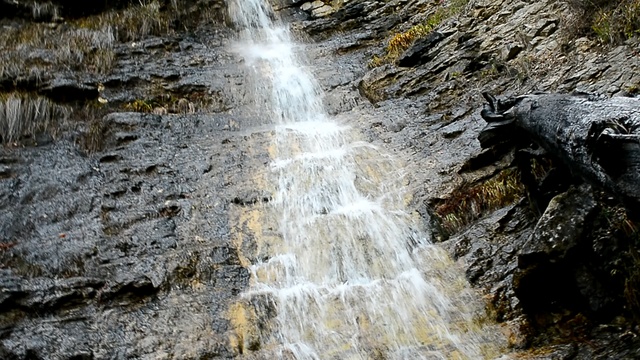 DSC_4450 смотреть онлайн