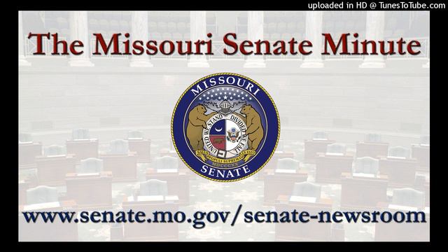 The Missouri Senate Minute For May 5: Sports Wagering