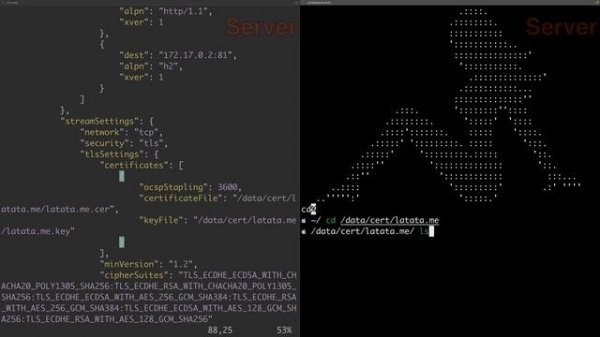 Xray Core 搭建教程 | Xray核心配置讲解 | 如何正确配置Xray | 原生、v2rayN、openWRT(pasaswall)客户端的使用