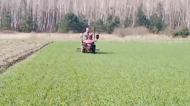 Боронование озимых. Мтз 112н 01 навеска - лёгких борон.#минитрактор #мтз #техника смотреть онлайн