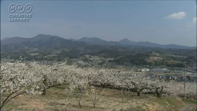憧れは馬車に乗って：菅原都々子 ハーモニカ lisa смотреть онлайн
