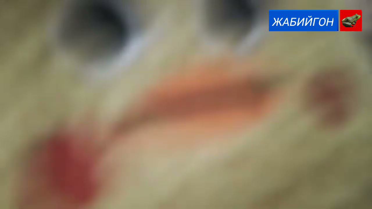 ЗАКРЫТИЕ КАНАЛА ЖАБИЙГОН! ОТКРЫТИЕ КАНАЛА ЧЕРЕСЕЛЬ! смотреть онлайн